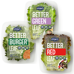 Better Leaf and Salads